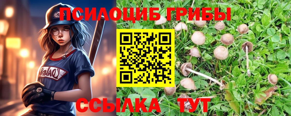 Псилоцибиновые грибы мухоморы Лысьва